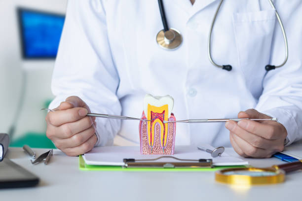 Best Weekend Emergency Dentist in Beverly Hills, FL